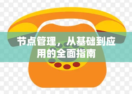 节点管理，从基础到应用的全面指南