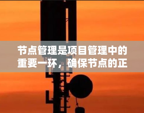 节点管理是项目管理中的重要一环，确保节点的正确创建、访问、改写和删除，以及与外部系统的有效交互。以下是一些节点管理的精选内容，涵盖从创建到监控、管理、错误处理等方面的知识，帮助你更好地管理节点