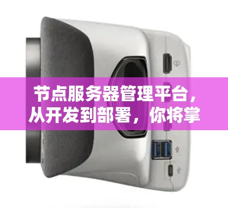 节点服务器管理平台，从开发到部署，你将掌握哪些核心技术？