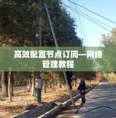 高效配置节点订阅—网络管理教程
