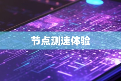 节点测速体验