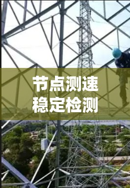 节点测速稳定检测系统是用于监控和优化网络服务器流量的工具，通过分析流量数据，确保服务器的流量保持稳定，从而优化资源利用率和系统性能。以下是该系统的详细分析