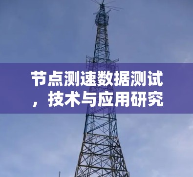节点测速数据测试,技术与应用研究