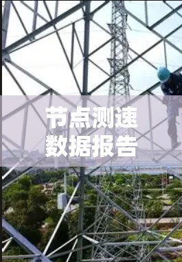 节点测速数据报告，数据收集与分析技术解析