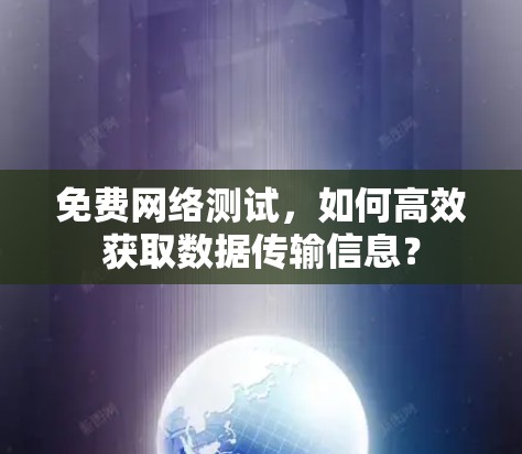 免费网络测试，如何高效获取数据传输信息？