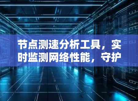节点测速分析工具，实时监测网络性能，守护网络安全与高效运行