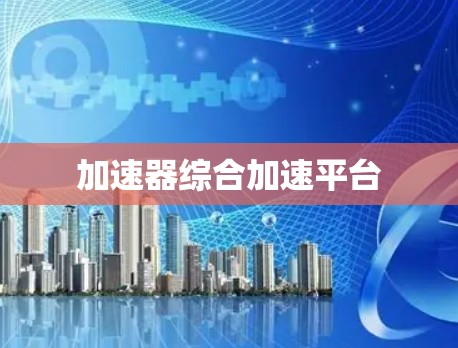 加速器综合加速平台