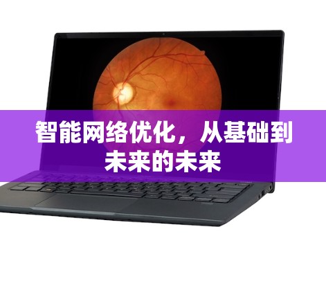 智能网络优化，从基础到未来的未来