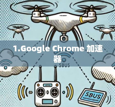 1.Google Chrome 加速器