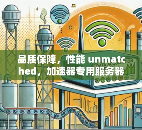 品质保障，性能 unmatched，加速器专用服务器助力网络高效运行