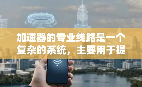 加速器的专业线路是一个复杂的系统，主要用于提升粒子的速度。以下是对加速器结构和组成部分的详细分析