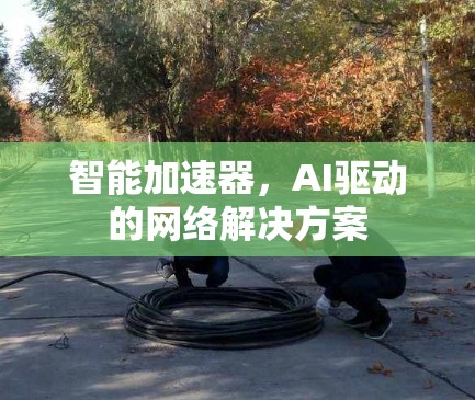 智能加速器，AI驱动的网络解决方案