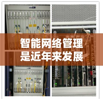 智能网络管理是近年来发展迅速的网络技术领域,旨在通过自动化和智能化手段优化网络流量和资源分配,以提升网络性能和稳定性。以下是对智能网络管理的详细总结