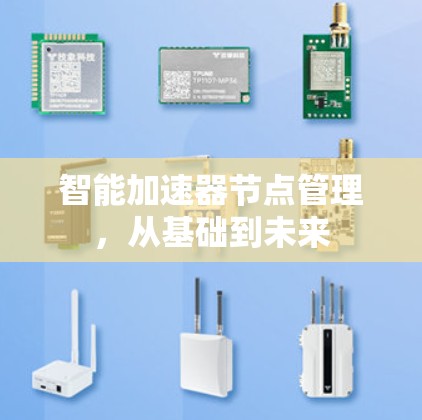 智能加速器节点管理，从基础到未来