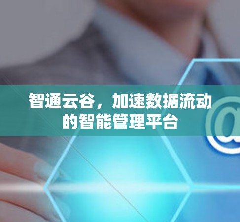 智通云谷，加速数据流动的智能管理平台