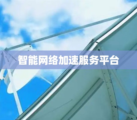 智能网络加速服务平台