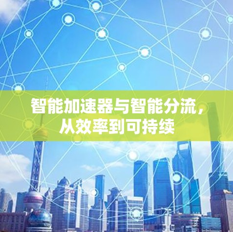 智能加速器与智能分流,从效率到可持续