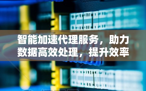 智能加速代理服务,助力数据高效处理,提升效率