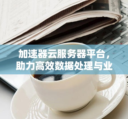 加速器云服务器平台,助力高效数据处理与业务优化 加速器云服务器平台,助力高效数据处理与业务优化