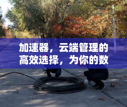 加速器,云端管理的高效选择,为你的数据保驾护航 加速器,云端管理的高效选择,为你的数据保驾护航