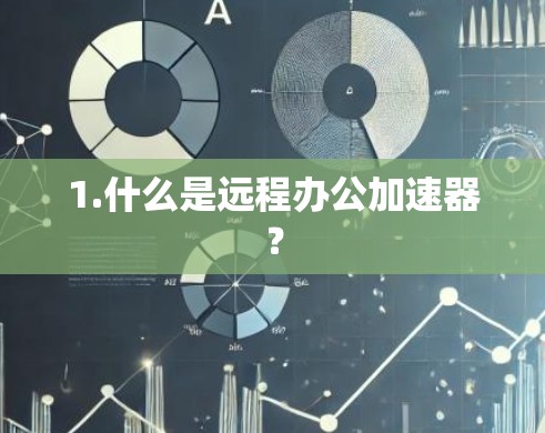 1.什么是远程办公加速器？
