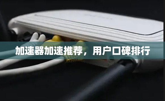 加速器加速推荐，用户口碑排行