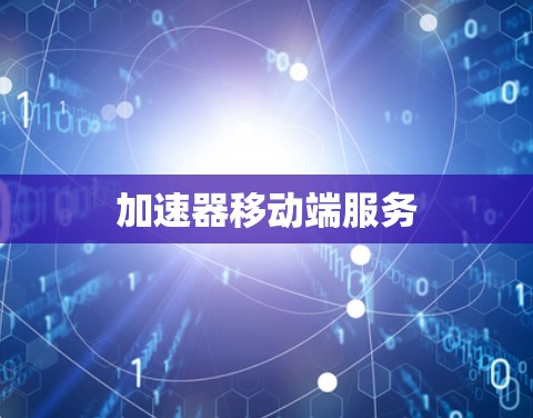 加速器移动端服务 加速器移动端服务