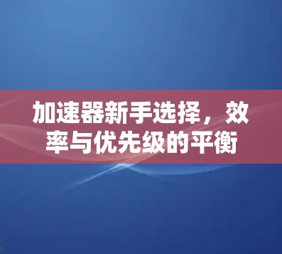 加速器新手选择,效率与优先级的平衡