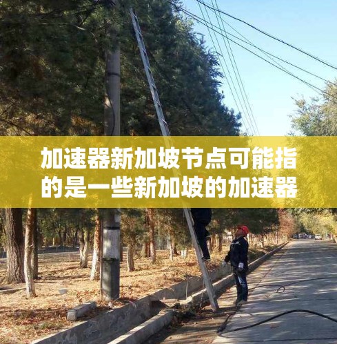 加速器新加坡节点可能指的是一些新加坡的加速器项目或设施,具体含义可能因上下文而异。以下是一些可能相关的信息