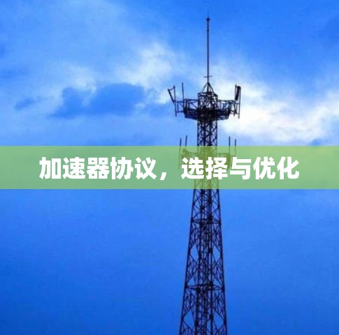 加速器协议,选择与优化 加速器协议,选择与优化