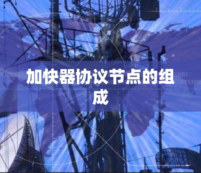 加快器协议节点的组成