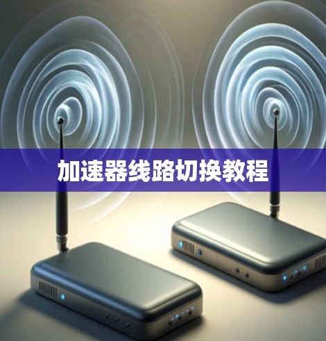 加速器线路切换教程