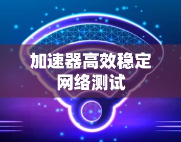 加速器高效稳定网络测试 加速器高效稳定网络测试