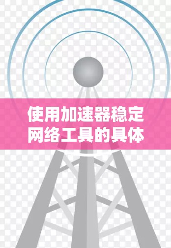 使用加速器稳定网络工具的具体步骤 使用加速器稳定网络工具的具体步骤