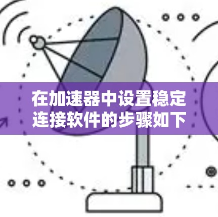 在加速器中设置稳定连接软件的步骤如下