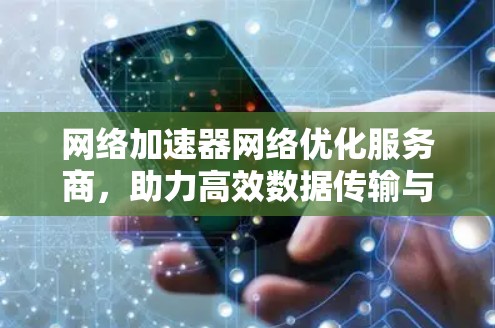网络加速器网络优化服务商,助力高效数据传输与网络连接 网络加速器网络优化服务商,助力高效数据传输与网络连接