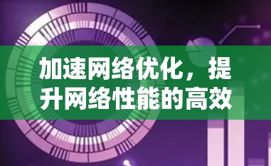 加速网络优化,提升网络性能的高效选择 加速网络优化,提升网络性能的高效选择