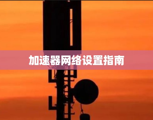 加速器网络设置指南