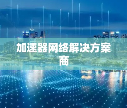 加速器网络解决方案商 加速器网络解决方案商