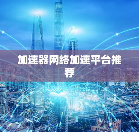 加速器网络加速平台推荐 加速器网络加速平台推荐