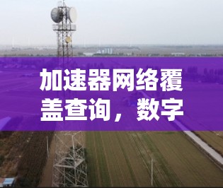 加速器网络覆盖查询，数字连接的未来与未来趋势
