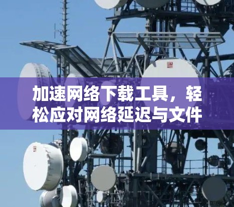 加速网络下载工具，轻松应对网络延迟与文件下载