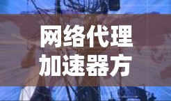 网络代理加速器方案