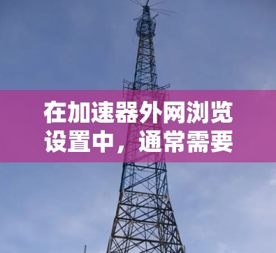 在加速器外网浏览设置中，通常需要设置访问外部网络的权限和相关参数，以确保网络连接正常。以下是详细的步骤说明