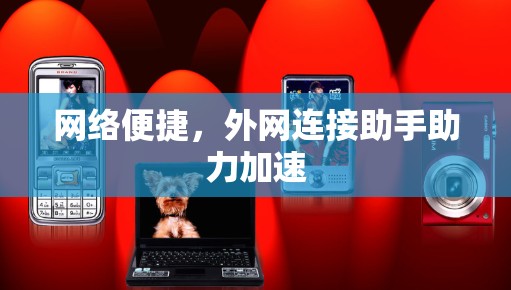 网络便捷,外网连接助手助力加速