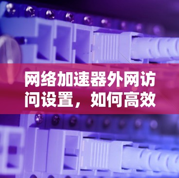 网络加速器外网访问设置，如何高效优化网络性能