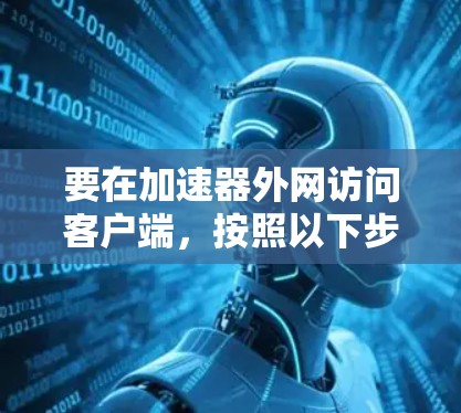 要在加速器外网访问客户端，按照以下步骤操作