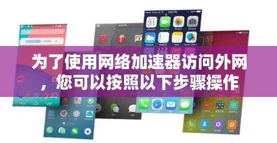 为了使用网络加速器访问外网，您可以按照以下步骤操作