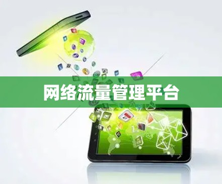 网络流量管理平台 网络流量管理平台