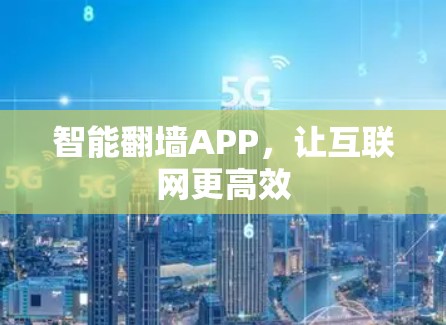 智能翻墙APP，让互联网更高效
